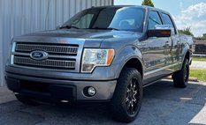2010 Ford F-150 Platinum