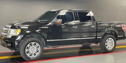 2010 Ford F-150 Platinum