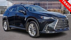 2024 Lexus NX 350 Luxury