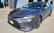2023 Toyota Camry XLE