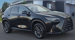 2024 Lexus NX 350h Luxury
