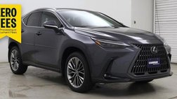2025 Lexus NX 350 Luxury
