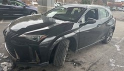2022 Lexus UX 250h F SPORT