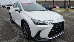 2023 Lexus NX 350 Premium