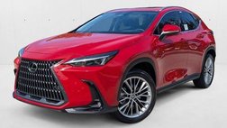 2025 Lexus NX 350h Premium
