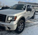 2010 Ford F-150 Platinum