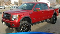 2013 Ford F-150 FX4