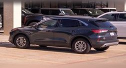 2024 Kia Sportage X-Pro