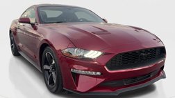 2019 Ford Mustang Base