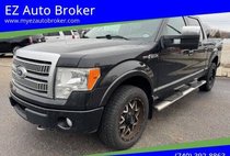 2010 Ford F-150 Platinum