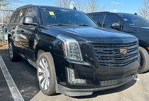 2018 Cadillac Escalade Platinum