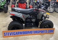 2019 Other Makes ATV