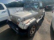 1993 Jeep Wrangler Sahara