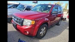 2011 Ford Escape XLT
