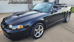 2003 Ford Mustang SVT Cobra SVT Cobra