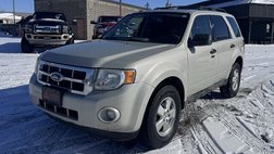 2009 Ford Escape XLT