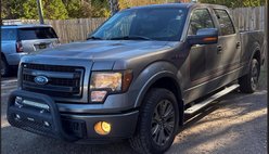 2013 Ford F-150 FX4