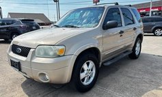2007 Ford Escape XLT