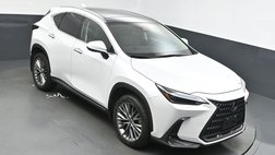 2023 Lexus NX 350 Luxury