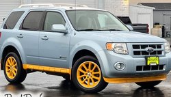 2009 Ford Escape Hybrid 