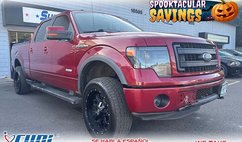 2013 Ford F-150 FX4