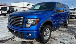 2011 Ford F-150 FX4