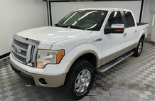 2010 Ford F-150 Platinum