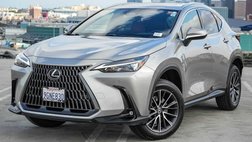 2024 Lexus NX 250 Premium