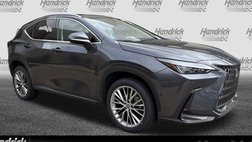 2023 Lexus NX 350h Luxury