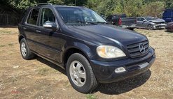 2002 Mercedes-Benz M-Class ML 320