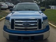 2010 Ford F-150 Platinum