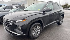 2024 Hyundai Tucson Hybrid Blue