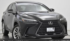 2024 Lexus NX 350h Luxury