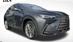 2022 Lexus NX 350 Luxury