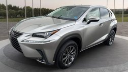 2019 Lexus NX 300 F SPORT
