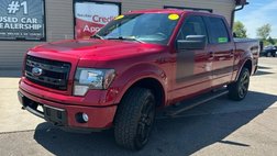 2013 Ford F-150 FX4