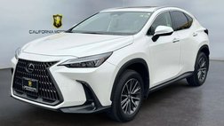 2025 Lexus NX 250 Base