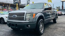 2010 Ford F-150 Platinum