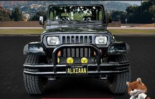 1994 Jeep Wrangler SE