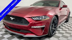 2019 Ford Mustang EcoBoost