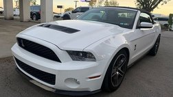 2010 Ford Shelby GT500 Base