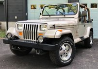 1995 Jeep Wrangler Sahara