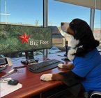 2012 Ford Escape Hybrid Limited