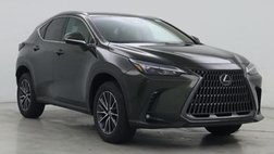2025 Lexus NX 250 Base