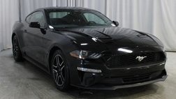 2022 Ford Mustang EcoBoost