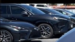2025 Lexus UX 300h F SPORT Design