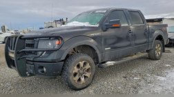 2013 Ford F-150 FX4