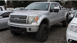 2010 Ford F-150 Platinum