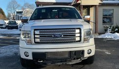 2013 Ford F-150 Platinum