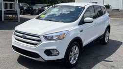 2019 Ford Escape SE